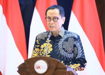 Kepala Eksekutif Pengawas Perbankan OJK,  Dian Ediana Rae. foto : istimewa