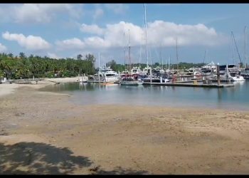 Kawasan Ujung Jabung bisa disiapkan jadi seperti Nongsa Point Marina  Batam.