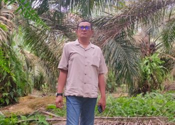 Sony Zainul.H
