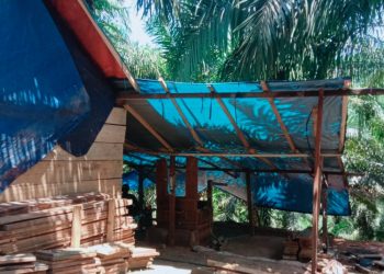 Aktivitas PETI di Kecamatan Limbur Lubuk Mengkuang, Kabupaten Bungo. foto : istimewa