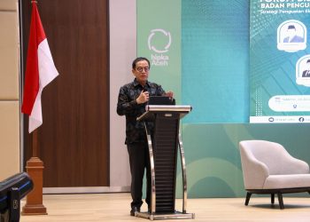 Kepala Eksekutif Pengawas Perbankan Otoritas Jasa Keuangan (OJK), Dian Ediana Rae. foto : ojk